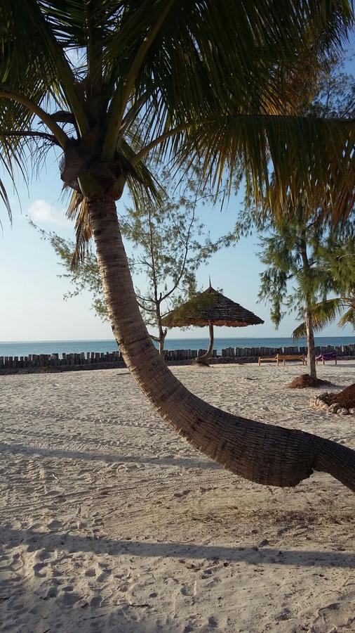 Emma Bay Beach House Michamvi Kae Bagian luar foto