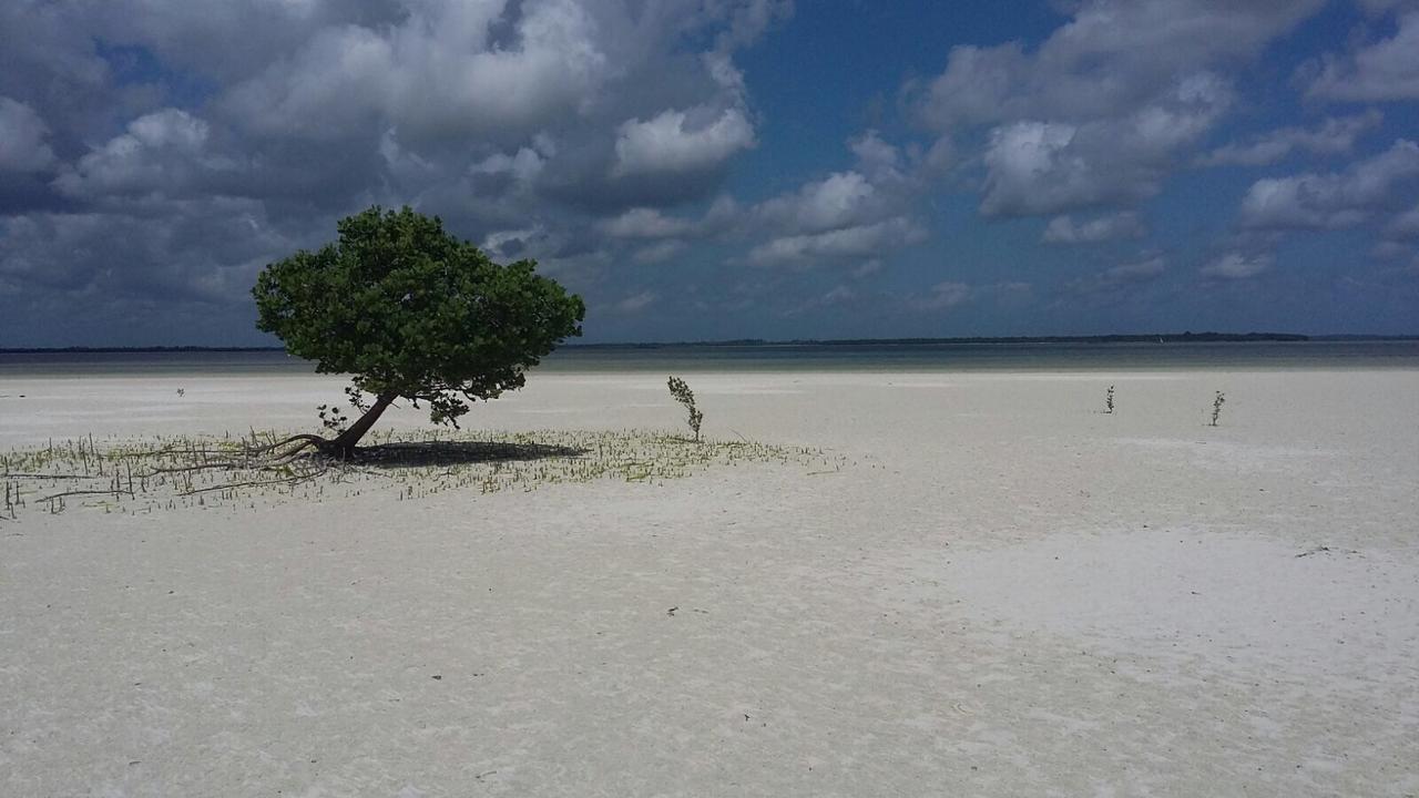Emma Bay Beach House Michamvi Kae Bagian luar foto